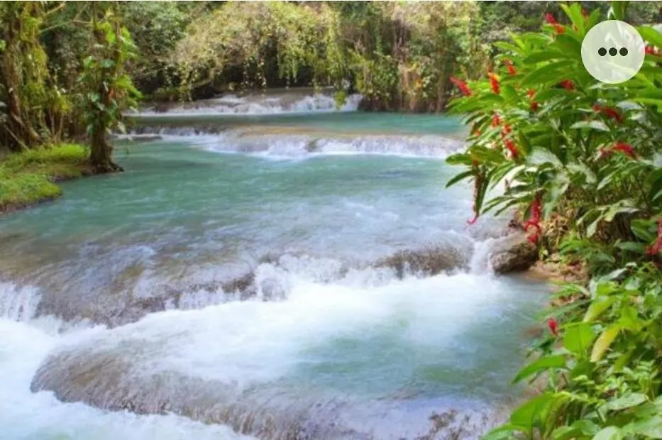 Penzion A Piece Of Paradise Content  Jamajka