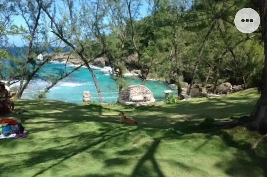 Guest house A Piece Of Paradise Content  Jamaica